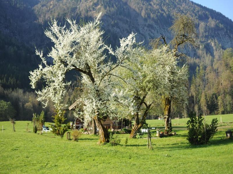 Hansenbauernhof Inkl. Chiemgaukarte Ruhpolding Dış mekan fotoğraf
